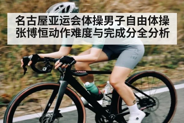 名古屋亚运会体操男子自由体操张博恒动作难度与完成分全分析